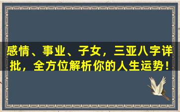 感情、事业、子女，三亚八字详  批，全方位解析你的人生运势！
